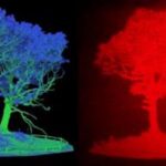 LiDAR head-up display could improve road safety