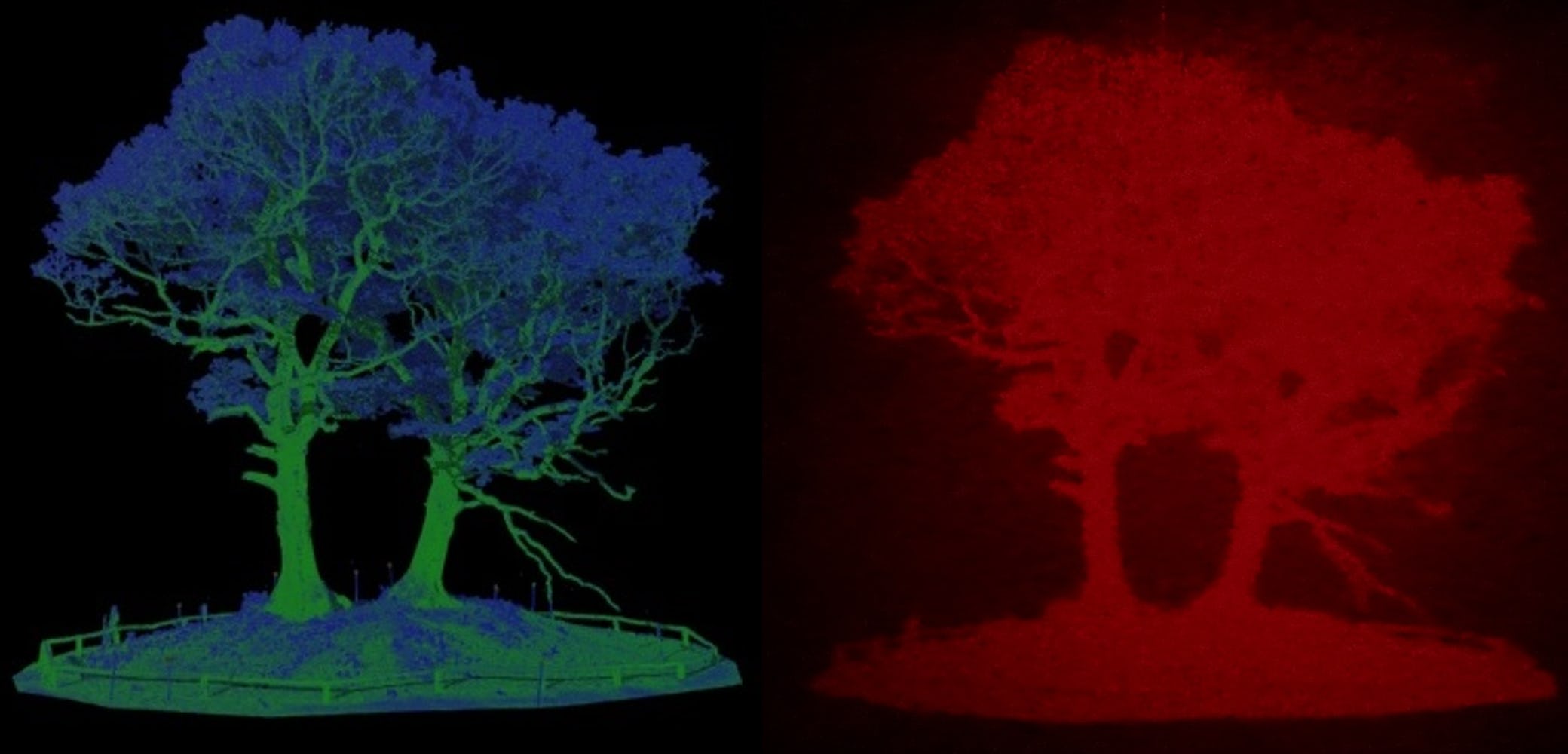 Scientists want to make you a safer driver by beaming lasers at your eyeballs