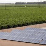 Cruise looks to Central Valley solar panels to power its self-driving cars