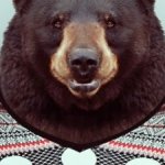 Profile picture of Riley Hughes